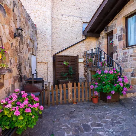 بيت ريفي Rural La Pinorra فينويسا