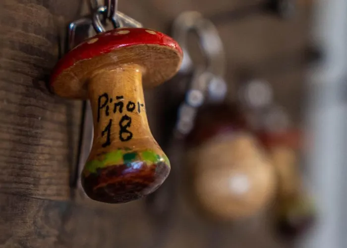 Rural La Pinorra Inn Vinuesa