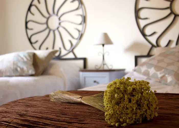 Inn Rural La Pinorra Vinuesa